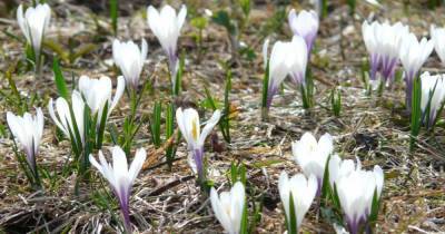Прогноз погоды на март: что ждет Украину в первый месяц весны