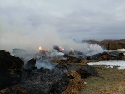 Трагический поджог. В Дятловском районе спасли от огня более 100 тонн соломы