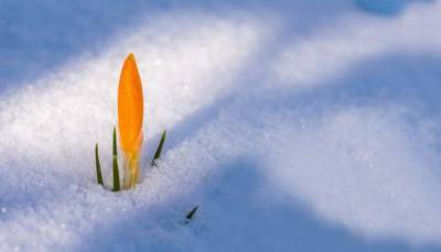 Весна в Украине начнется со снегопада