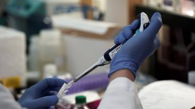 В Великобритании обнаружили шесть случаев бразильского штамма коронавируса