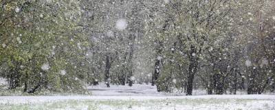 В марте в Курганскую область придут сильные снегопады