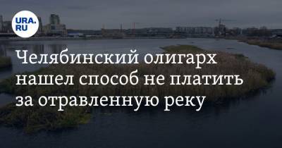 Челябинский олигарх нашел способ не платить за отравленную реку
