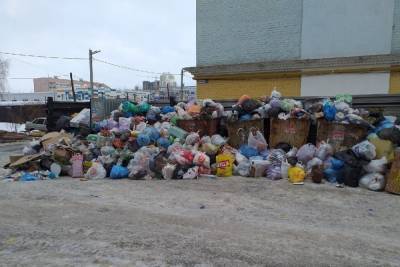 Рязанец пожаловался на забитые мусорные баки на улице Зубковой