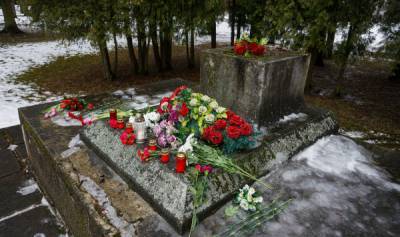 Кража пушки с памятника советским воинам в латвийском Екабпилсе: что известно