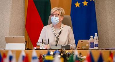Премьер Литвы советует недовольным правительством дождаться новых выборов