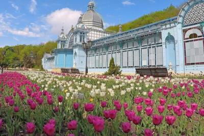 В курортном парке Железноводска высадят сотни тысяч цветов