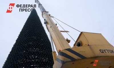 В Мурманске начали убирать новогоднюю елку