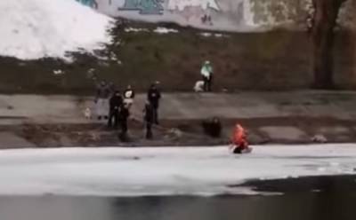 Новое ЧП на воде в Киеве, женщина провалилась под лед: "пыталась спасти собаку и..." - politeka.net - Киев