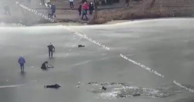 В Днепре патрульные спасли 4-х человек из ледяной воды: появилось видео