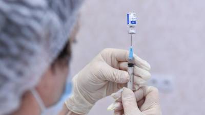 Эффективность российских вакцин от коронавируса оценили в Кремле