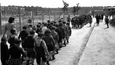 Отрицавшего Холокост ученого подозревают в попытке реабилитировать нацизм