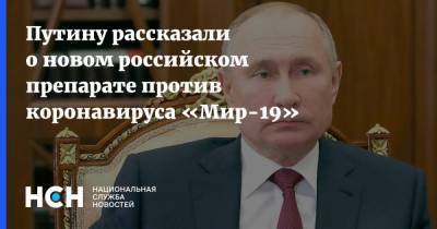 Путину рассказали о новом российском препарате против коронавируса «Мир-19»
