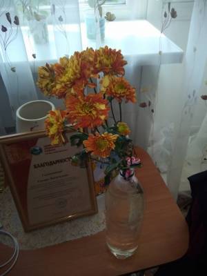 Новосибирскую медсестру отблагодарили за 55 лет работы веточкой хризантемы