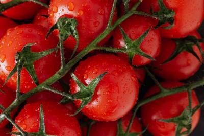 Диетолог Ирина Торопыгина рассказала о вреде помидоров для организма человека