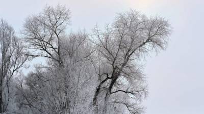Возвращение зимы: снег и заморозки после 20-градусного тепла