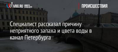Специалист рассказал причину неприятного запаха и цвета воды в канал Петербурга