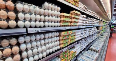 ФАС проверит производителей куриного мяса и яиц на соблюдение антимонопольных норм