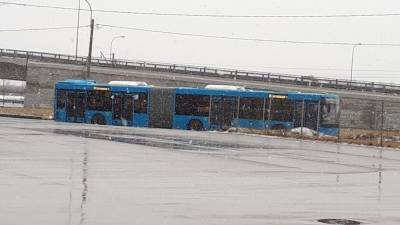 Новый подвид транспорта появится в Петербурге после реформы