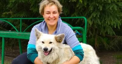 Уходя от мужа, забрала только собаку: история калининградки, ухаживающей за бездомными животными