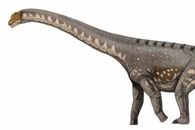 В Южной Америке найден древнейший титанозавр в мире