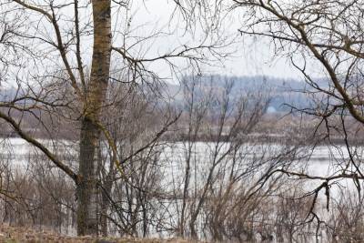 Около 30 населенных пунктов Владимирской области могут уйти под воду
