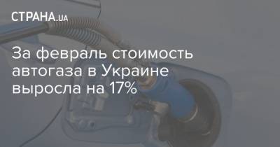 За февраль стоимость автогаза в Украине выросла на 17%