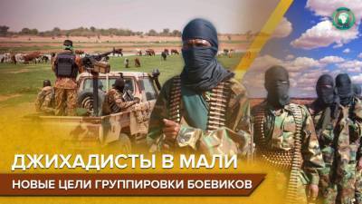 Поход за трофеями: почему джихадисты в Мали сменили тактику