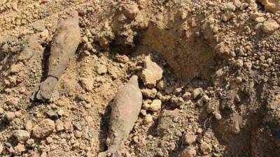 Дети нашли более 20 снарядов времен ВОВ в лесу под Калининградом