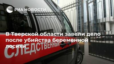 В Тверской области завели дело после убийства беременной лосихи