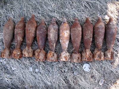 Дети обнаружили артиллерийские мины во время прогулки в лесу под Калининградом – Учительская газета