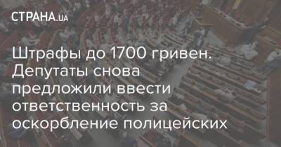 Штрафы до 1700 гривен. Депутаты снова предложили ввести ответственность за оскорбление полицейских