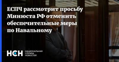 ЕСПЧ рассмотрит просьбу Минюста РФ отменить обеспечительные меры по Навальному