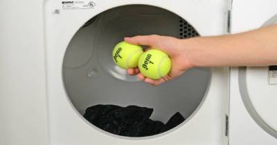 Почему стоит класть теннисные мячи в стиральную машину: 3 причины