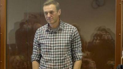 Алексей Навальный - Михаил Гальперин - ЕСПЧ согласился рассмотреть требование России об отмене обеспечительных мер по Навальному - reendex.ru