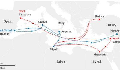 2000 телят, два месяца плававших по Средиземному морю в поисках покупателя, усыпят