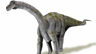 Ученые признали аргентинского титанозавра самым древним в мире