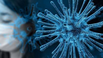 Роспотребнадзор назвал ключевые способы поддержания иммунитета