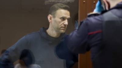 Каспаров обвинил Amnesty International в "игре" против блогера Навального