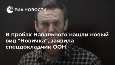 В пробах Навального нашли новый вид "Новичка", заявила спецдокладчик ООН