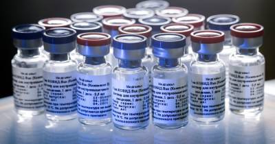 Еще одна страна в Евросоюзе заказала российскую COVID-вакцину, — СМИ