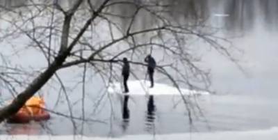 В Киеве в районе моста Патона и на Гидропарке мужчины оказались на дрейфующих льдинах, их сравнили с мамонтенком из мультфильма, видео - ТЕЛЕГРАФ