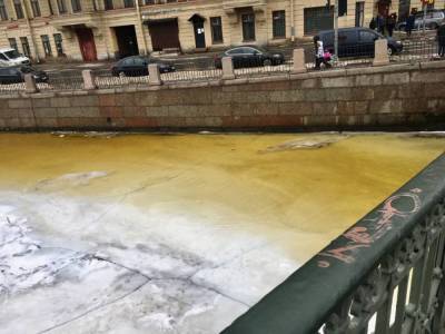 Специалист объяснил желтизну воды в петербургских каналах