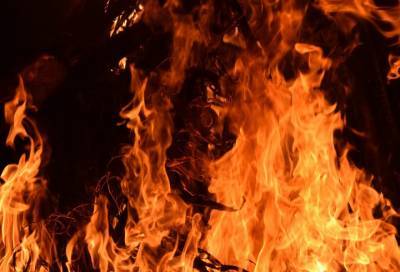 Житель Кингисеппа признан виновником пожара, в котором погибли женщина и ребёнок