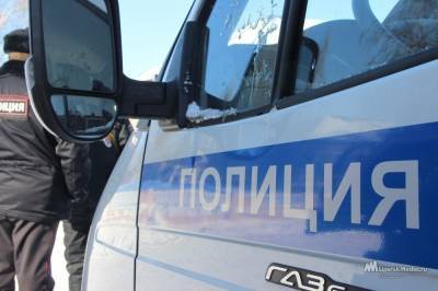Полицейские в Ельце раскрыли кражу автомобильных колпаков