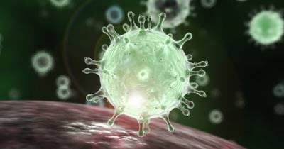В Германии обнаружен новый штамм коронавируса