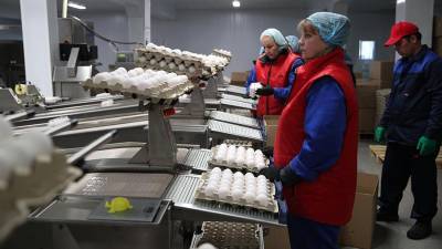 Птицефабрики могут отказаться от производства премиальной продукции