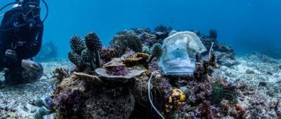 На Филиппинах дайверы обнаружили риф, покрытый медицинскими масками