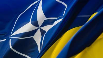 Украина надеется знанием английского языка «пролезть» в НАТО