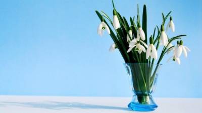 Как отмыть узкую вазу для цветов от налета — простейший лайфхак