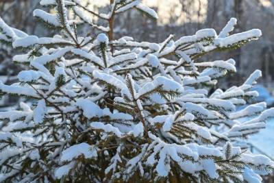 В Челябинской области потеплело, но будут снег и метели
